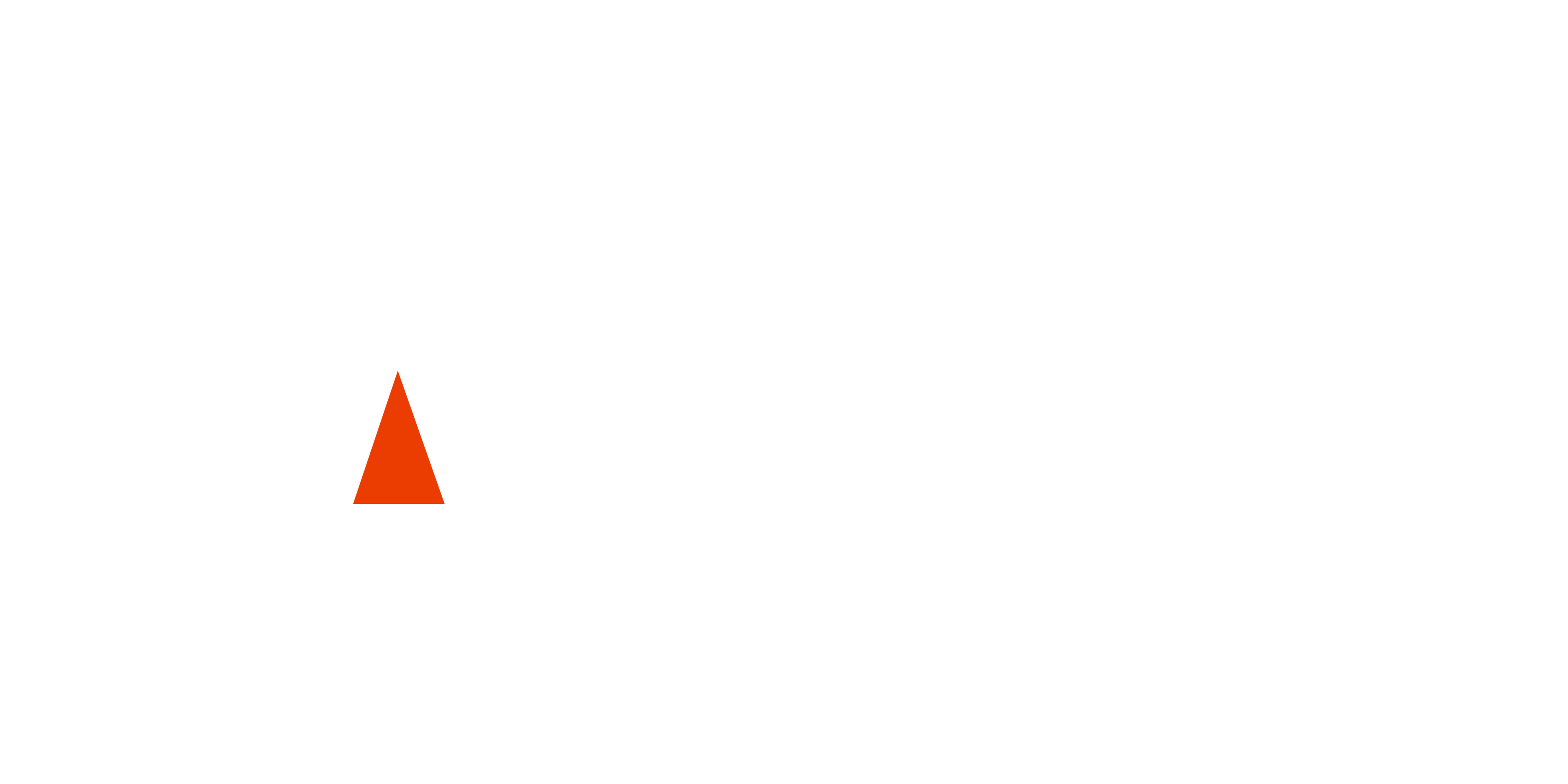 AES Team Bullaes